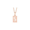 Pierced Number Dog Tag Necklace